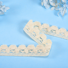 Soft 100% Cotton Lace Trim Sustainable Crocheted Embroidery Lace